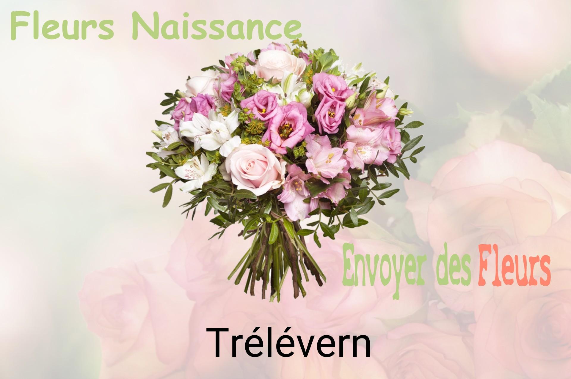 Bouquet de fleurs de naissance livré à Trélévern